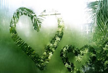 北单足球官网首页能提供哪些服务？如何高效使用其功能？