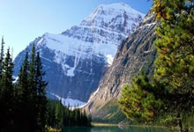 哪里能找到中国女足比赛的完整录像？